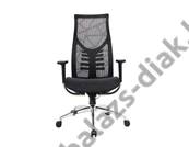 Kép 1/3 - Prémium ergonomikus irodai szék, hálós forgószék, fekete (GM-13 BLACK)