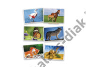 Kép 2/2 - Fényképkártyák: Állatok 54 db képpel