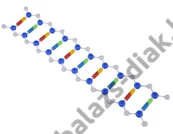 Kép 1/2 - DNS-modell - kicsi