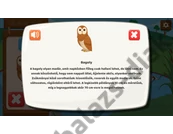 Kép 6/6 - Ügyesedni képességfejlesztés: Rejtőzködő állatok