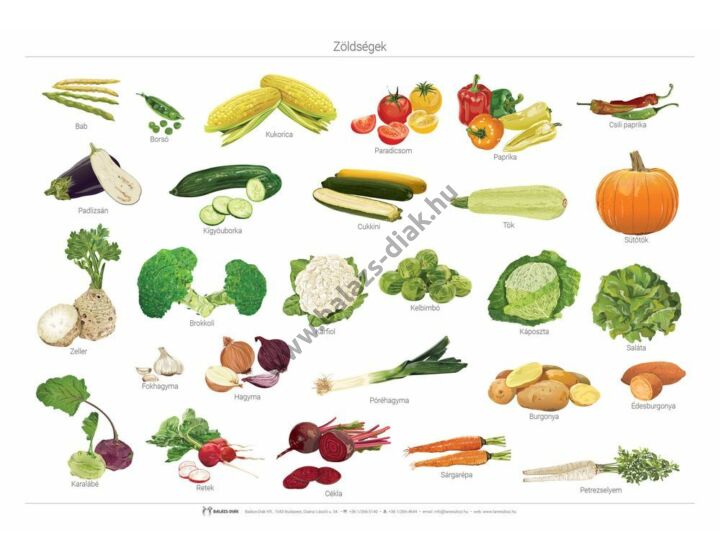 Oktató tabló - Zöldségek
