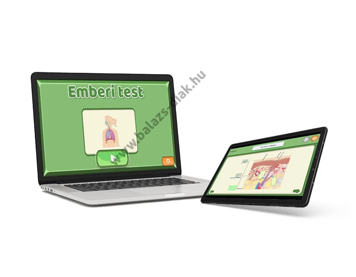 Ügyesedni biológia: Emberi test